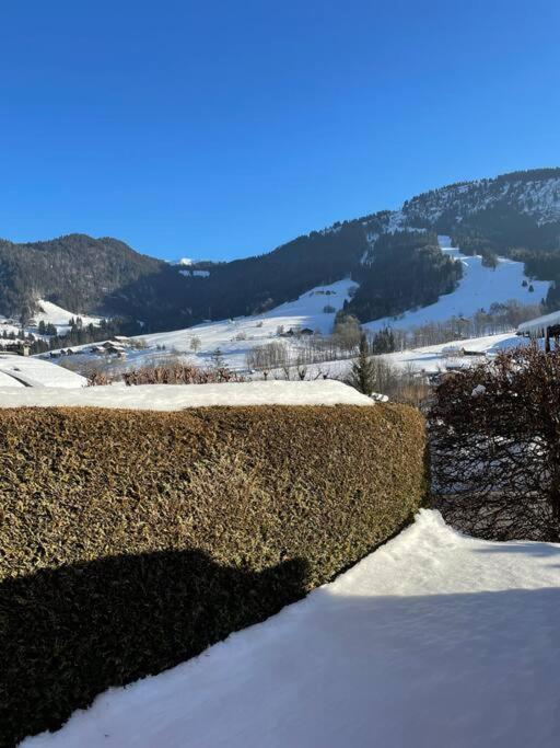 Charmant Studio + Jardin Vue Pistes Et Local Velo プラーズ・シュル・アルリー エクステリア 写真